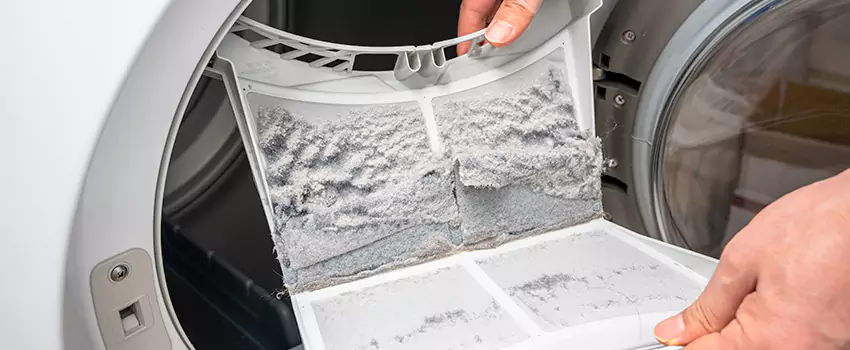 Best Dryer Lint Removal Company in Villa Park, Illinois