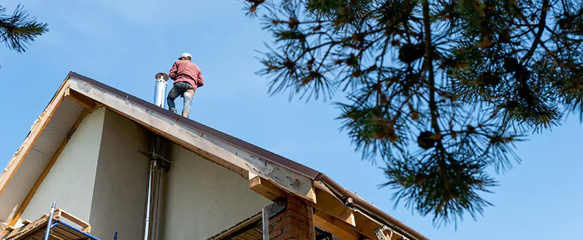 Birds Removal Contractors from Chimney in Villa Park, IL